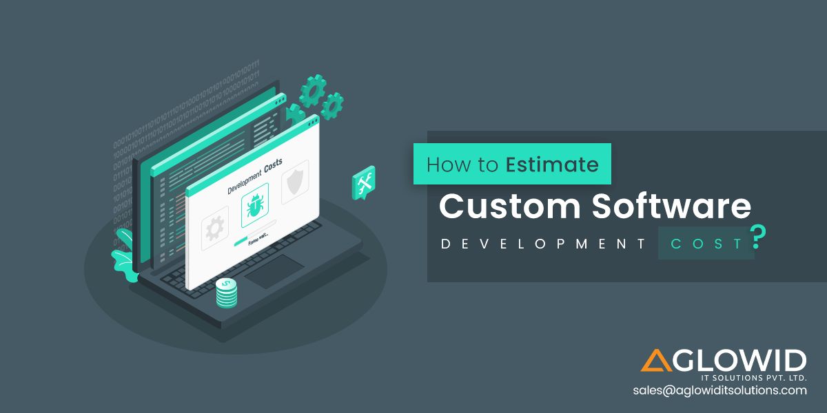 How to Estimate Custom Software Development Cost?