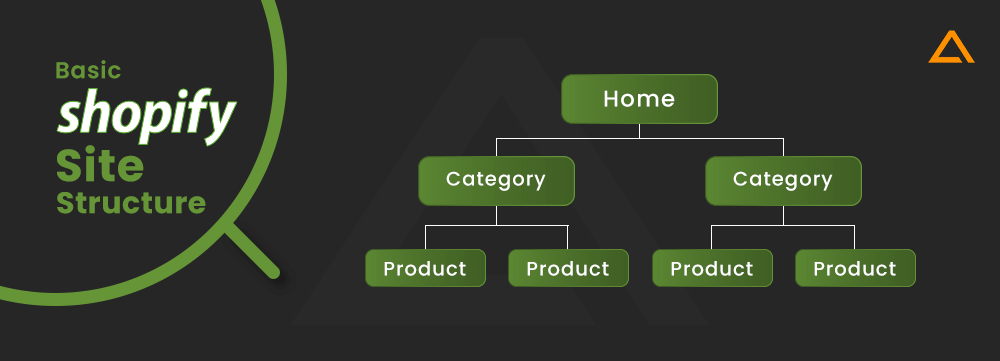 Basic Shopify Site Structure 