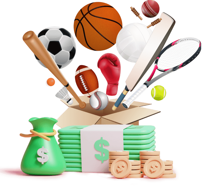 Sports IT Solution Cost