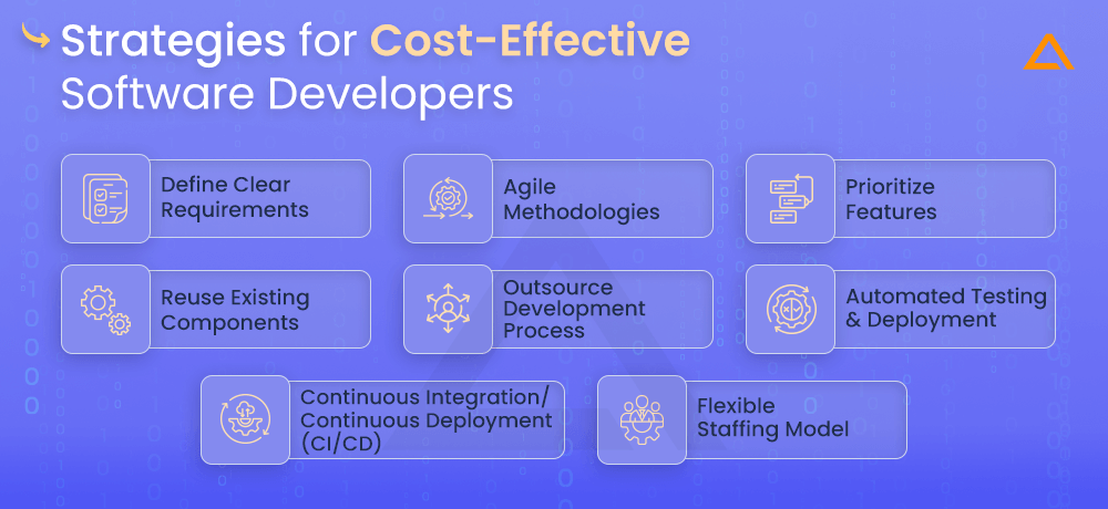 Strategies for Cost Effective Software Development