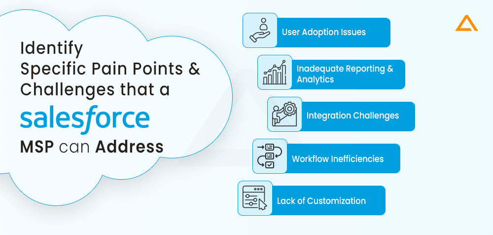 Identify Specific Pain Points & Challenges that a Salesforce MSP can Address