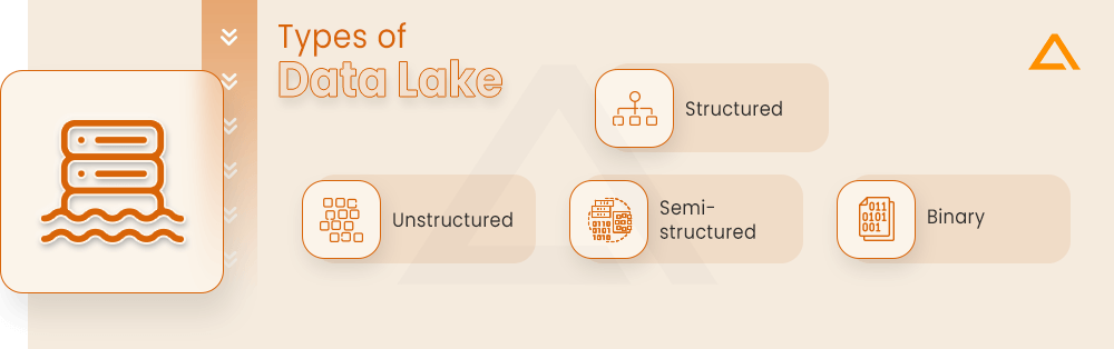 Types of Data Lake