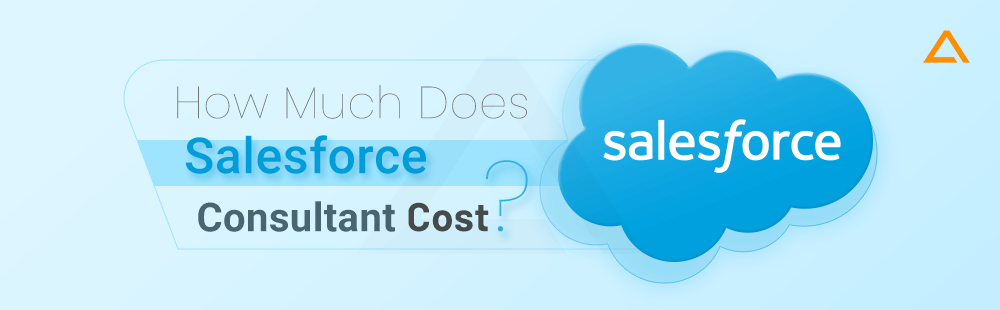 How Much Does Salesforce Consultant Cost
