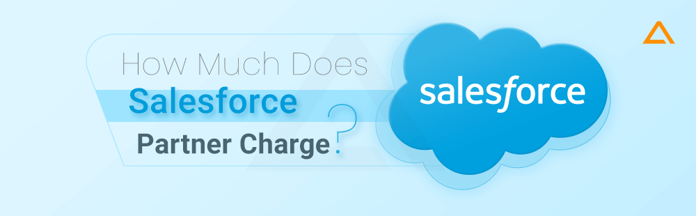 How Much Does Salesforce Partner Charge