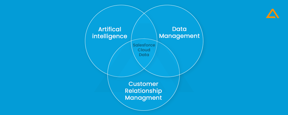 Salesforce ecosystem