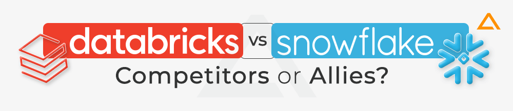 Snowflakes vs Databricks Competitors or Allies