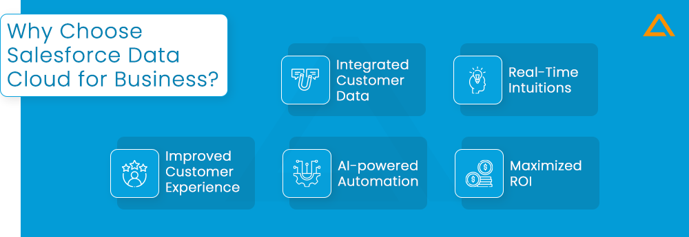 Why Choose Salesforce Data Cloud for Business